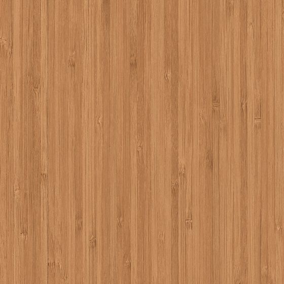 Bambu